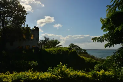 DSC_4599 (Large).JPG